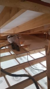 Perdangų šiltinimas termoputa